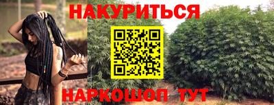 шишки Абинск