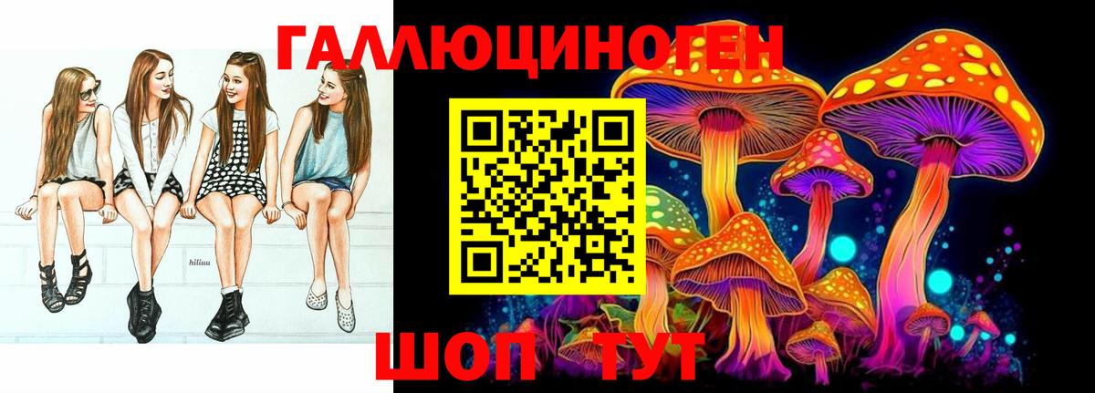 Псилоцибиновые грибы Psilocybine cubensis  Галлюциногенные грибы Psilocybine cubensis  Артём 