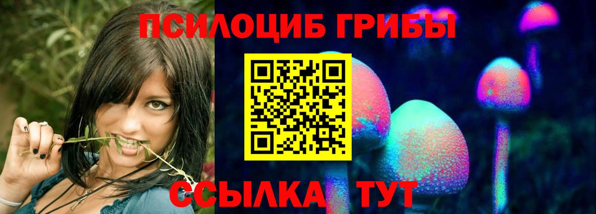 Артём  наркота  Вход с VPN  Псилоцибиновые грибы Psilocybe 